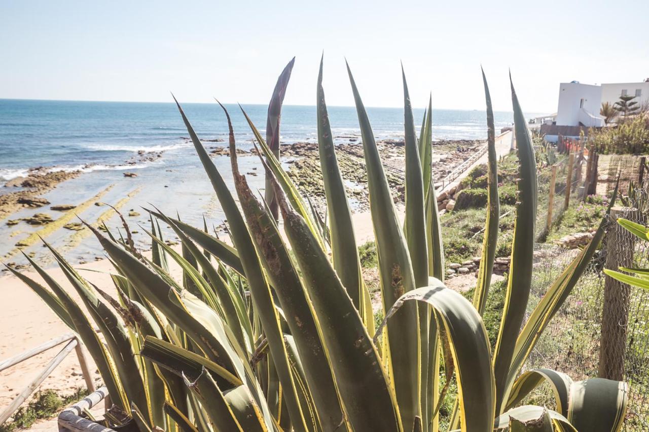 Adosado Nuevo Con Piscina, Playa, Garaje Y Jardin Los Canos De Meca Esterno foto
