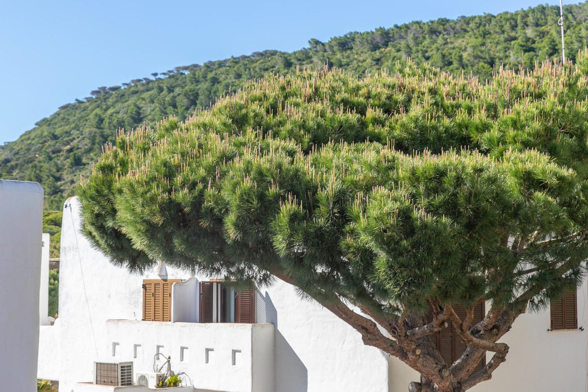 Adosado Nuevo Con Piscina, Playa, Garaje Y Jardin Los Canos De Meca Esterno foto